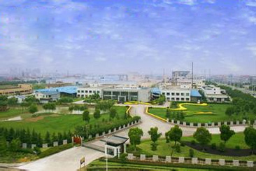 关于麻豆TV在线观看