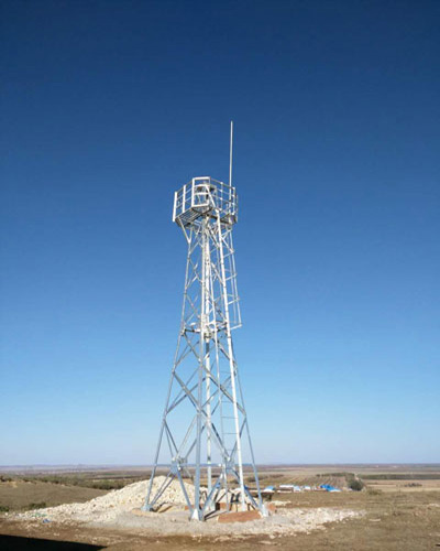 麻豆视频免费入口结构特点有哪些呢？