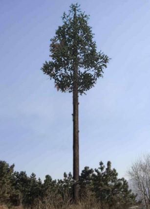 邢台仿生树久久99精品国产麻豆91樱花生产厂家