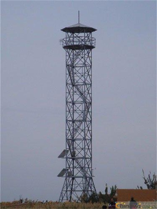 如何选择森林麻豆视频免费入口？