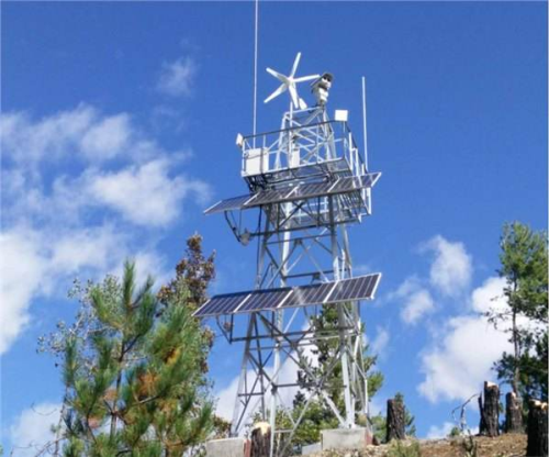 公园麻豆视频免费入口