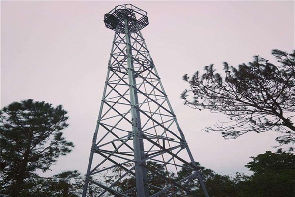 20米麻豆视频免费入口架多少吨？